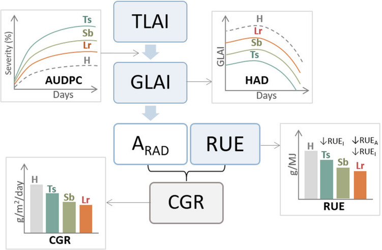 FIGURE 4