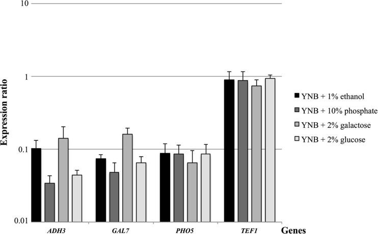 Fig. 2