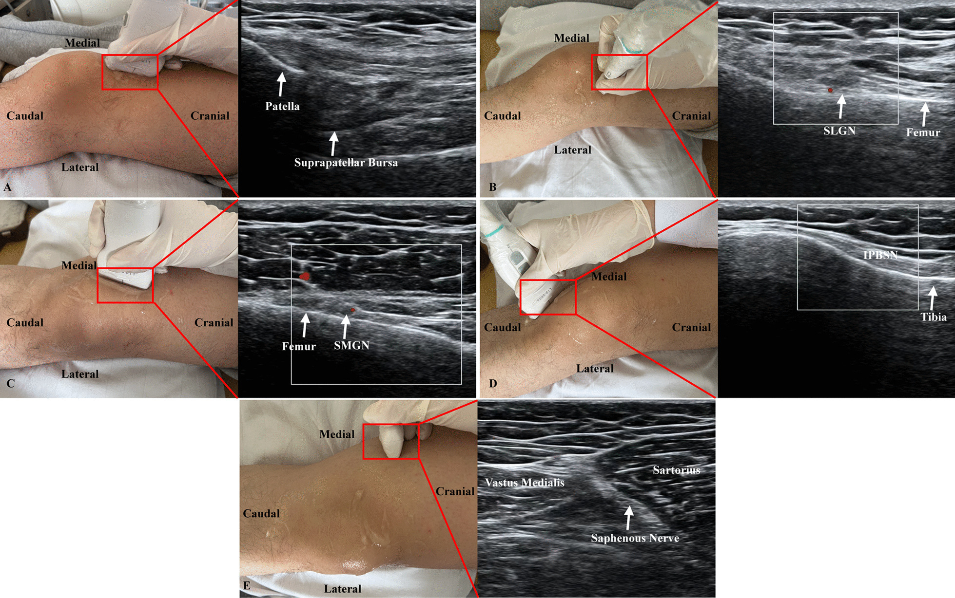 Fig. 2