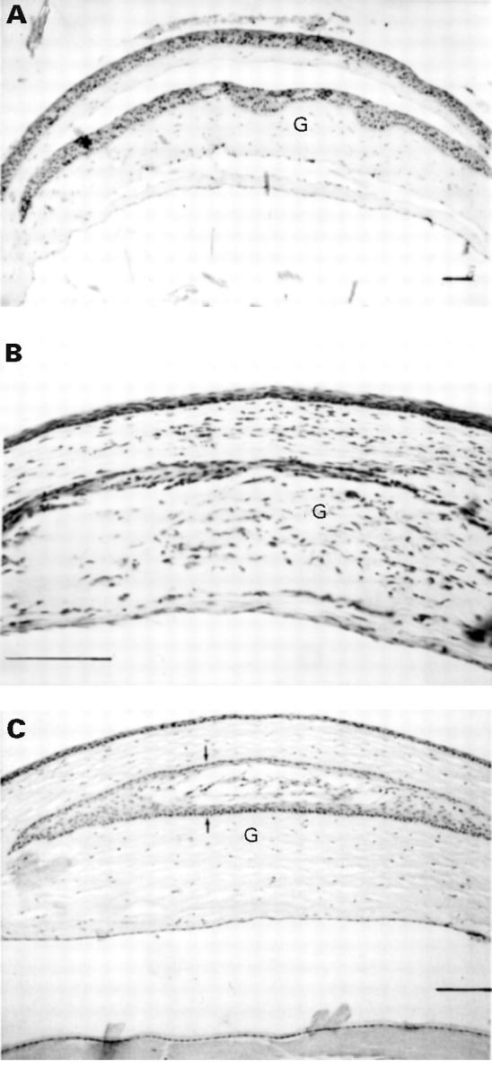 Figure 4  