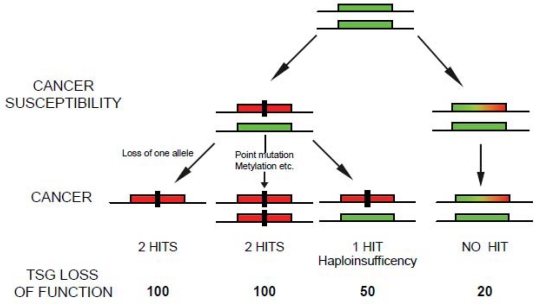 Figure 1: