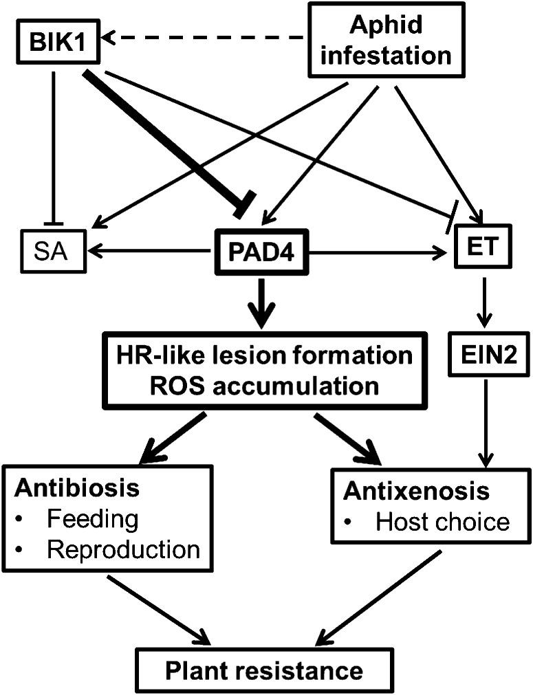 Figure 10.