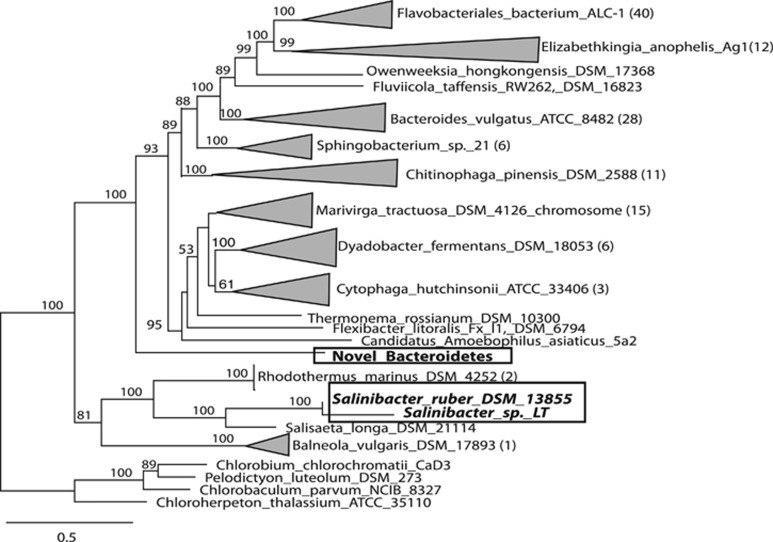 Figure 7