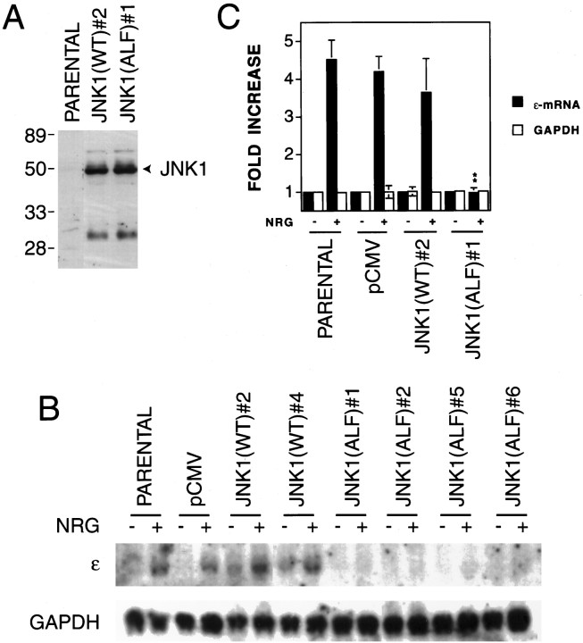 Fig. 9.