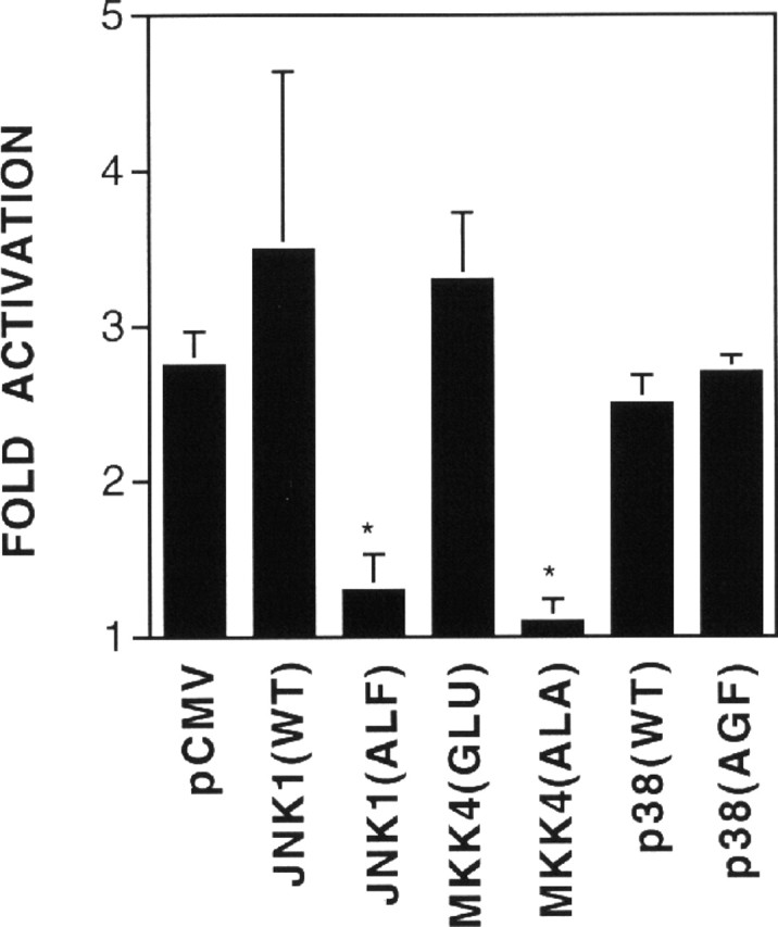 Fig. 8.