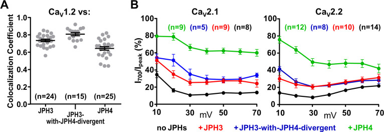 Figure 8—figure supplement 1.