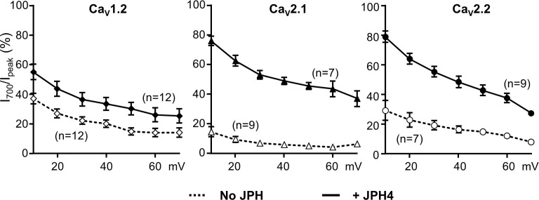 Figure 3—figure supplement 1.