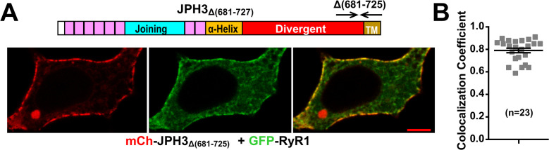 Figure 10—figure supplement 1.