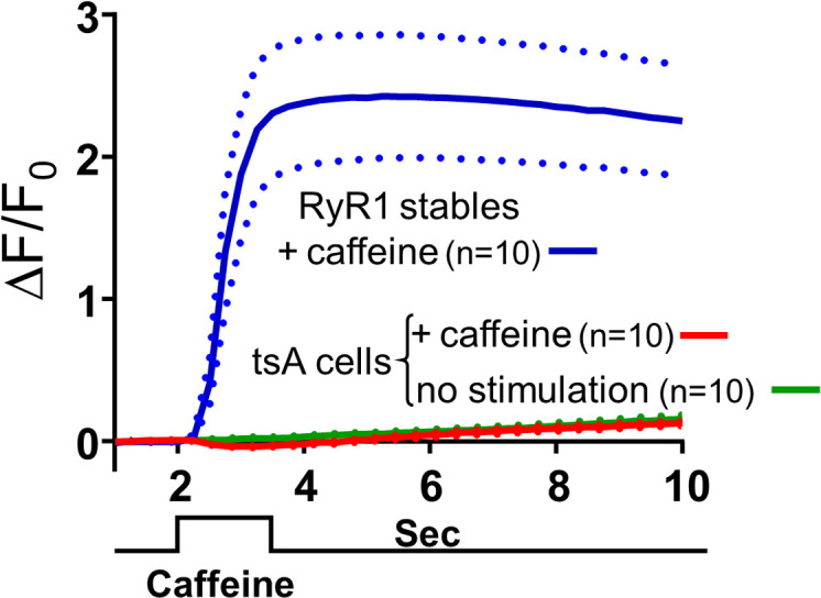 Figure 5—figure supplement 1.