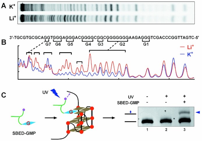 Figure 1.