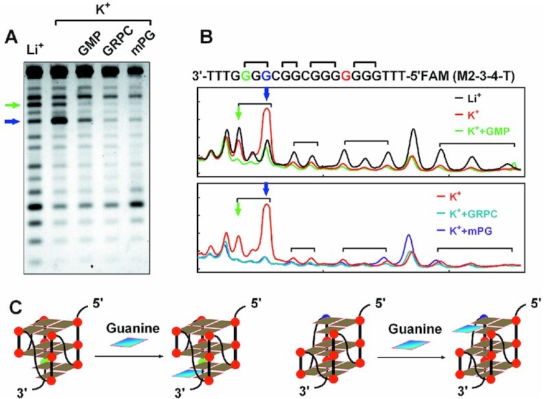 Figure 4.