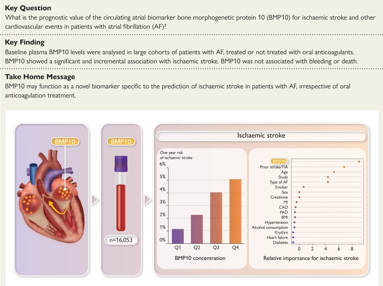 Structured Graphical Abstract