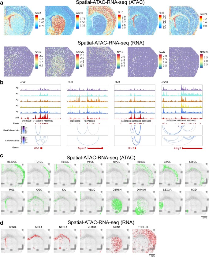 Extended Data Fig. 4