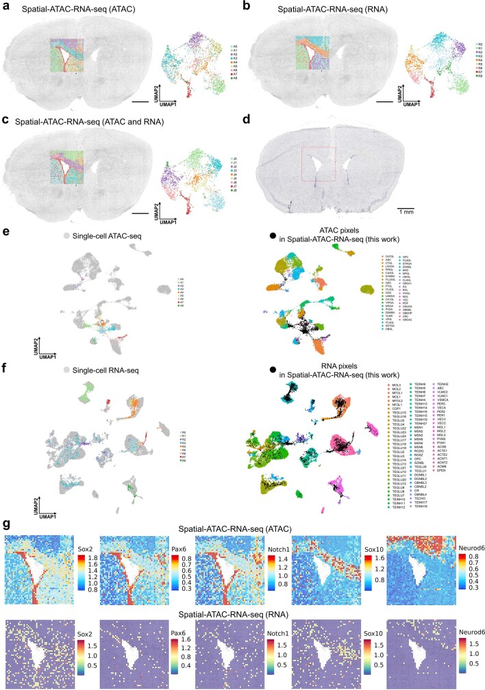 Extended Data Fig. 6