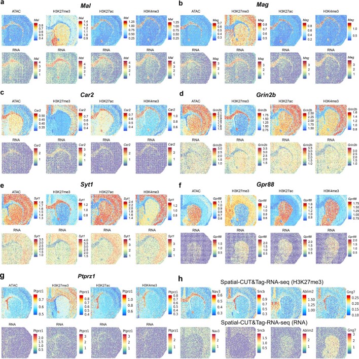 Extended Data Fig. 9