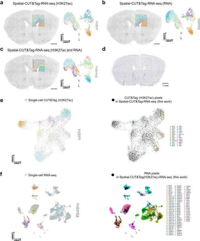 Extended Data Fig. 8