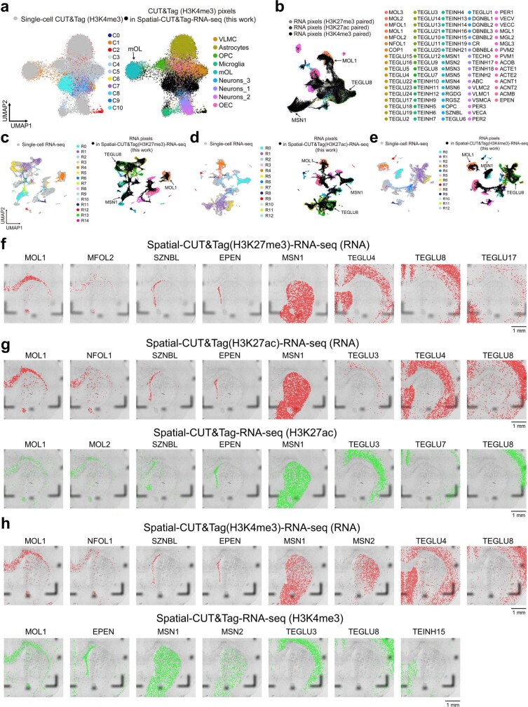 Extended Data Fig. 7