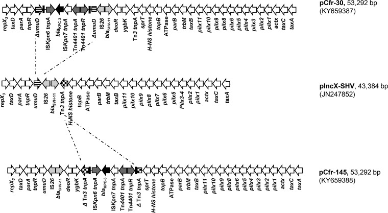 FIG 1