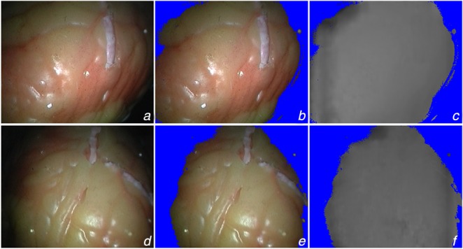 Fig. 5