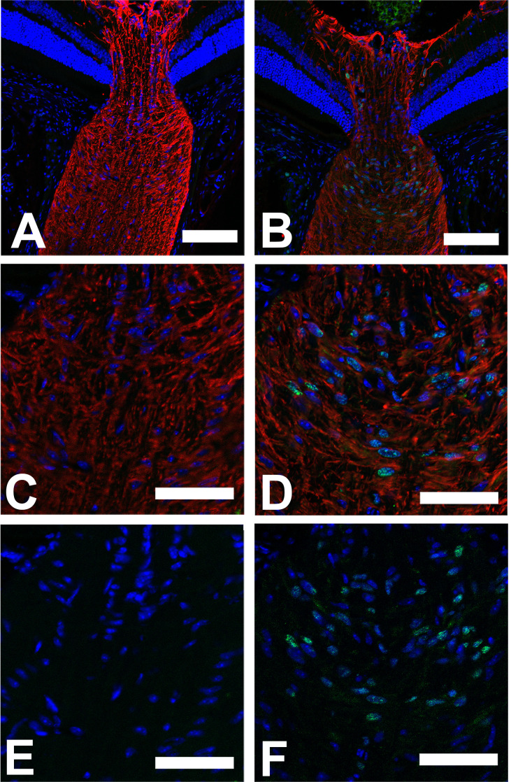 Fig 8