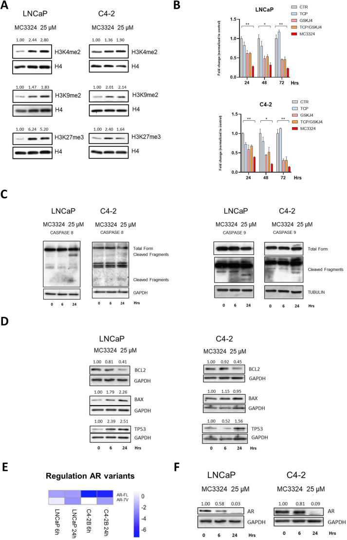 Figure 1