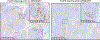 Fig 4B: