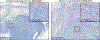 Fig 4D: