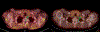 Fig 5(B):