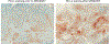 Fig 4E:
