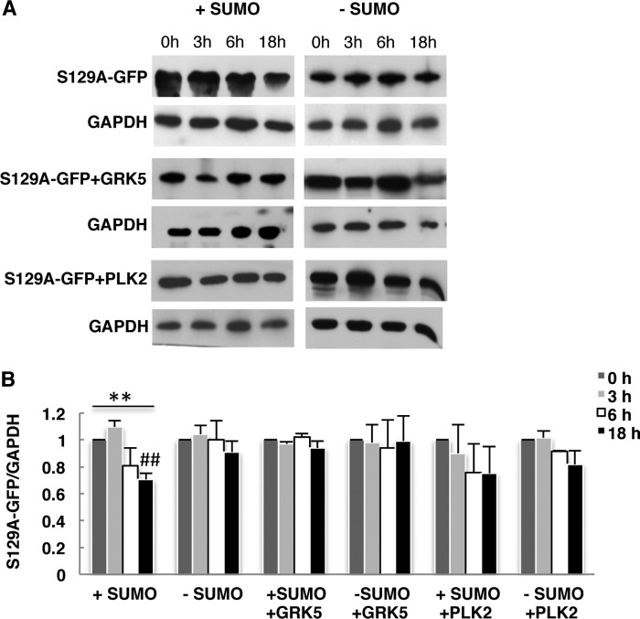 FIGURE 10.