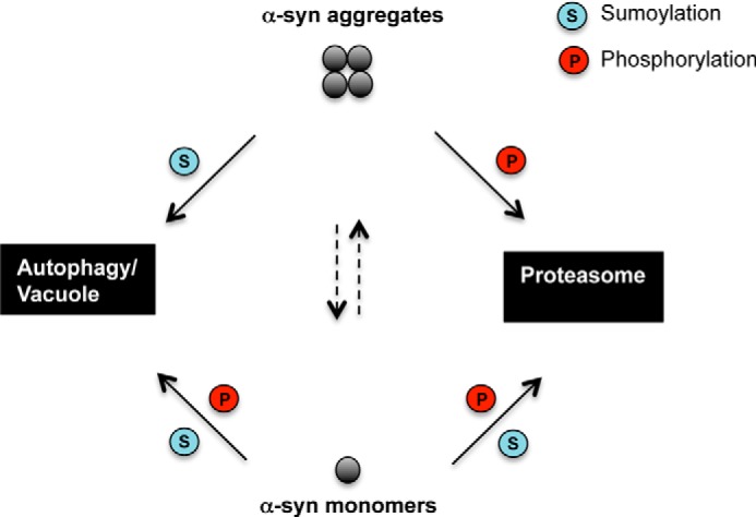 FIGURE 11.