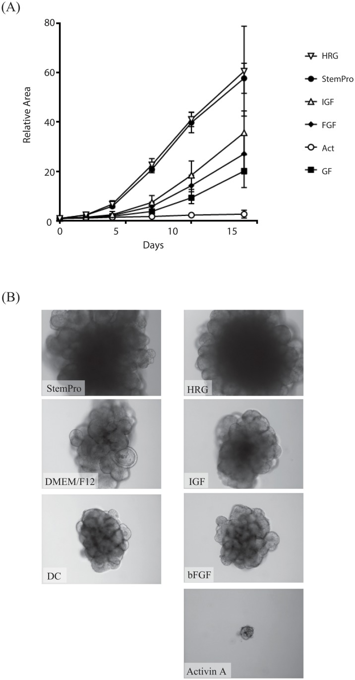 Fig 5