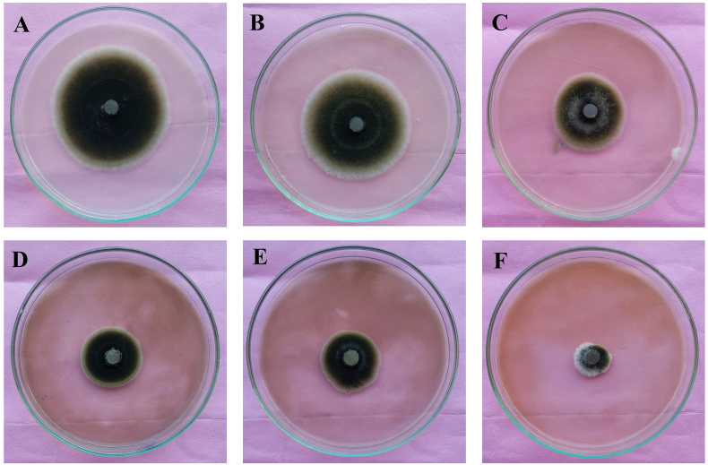 Fig. 8