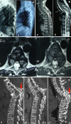 Fig. 1