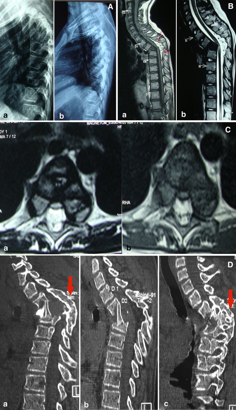 Fig. 1