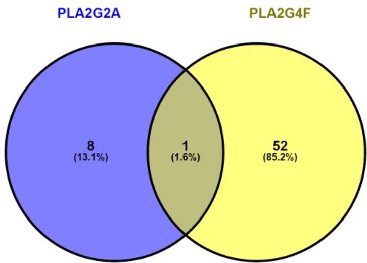 Fig. 3: