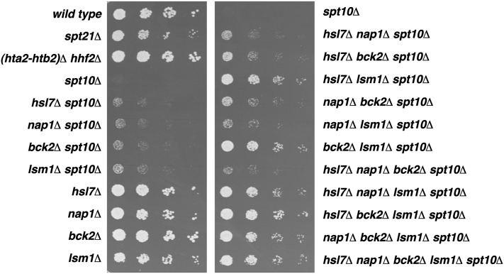 Figure 2 