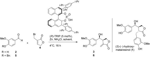 Scheme 1