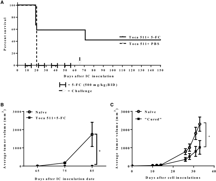 Figure 7