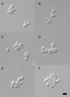 Figure 8.