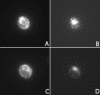Figure 10.