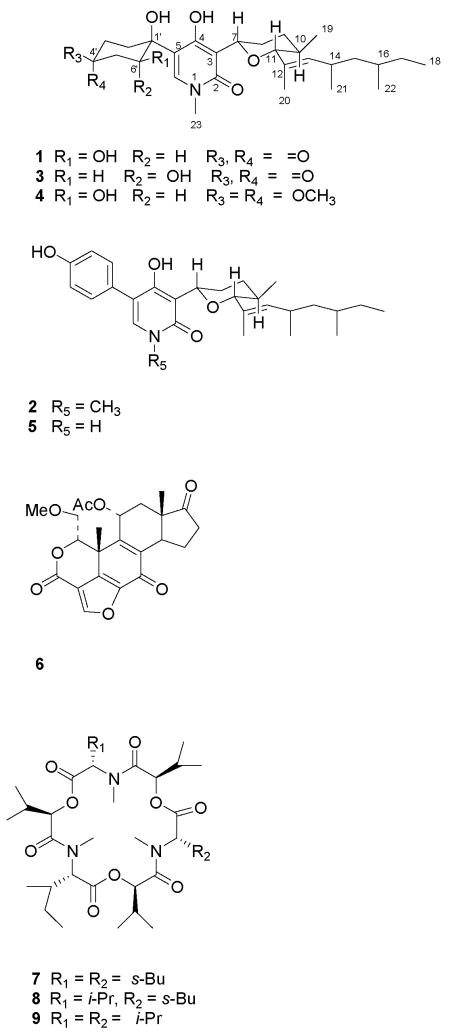 graphic file with name nihms63030u1.jpg