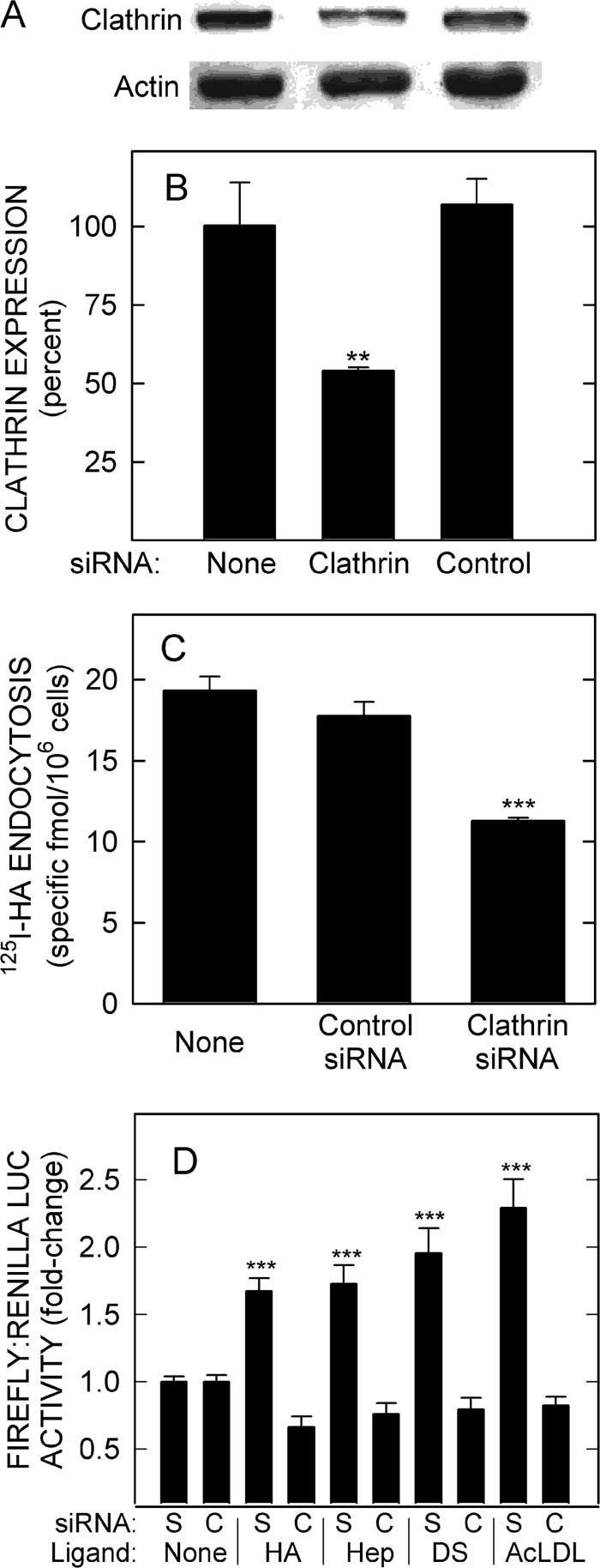 FIGURE 10.