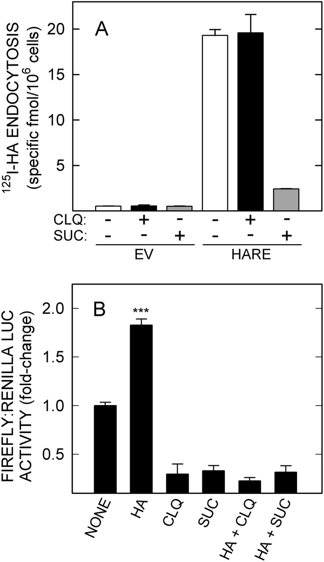 FIGURE 9.