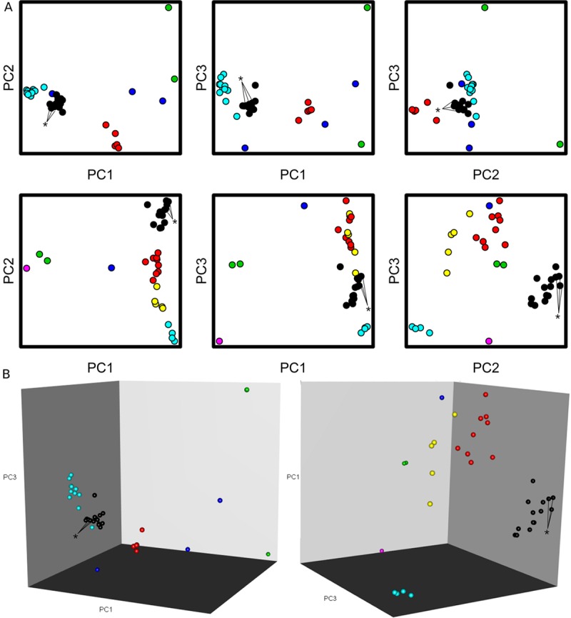 FIG 2