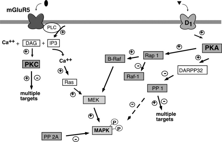 
Figure 9.
