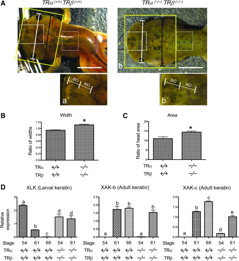 FIG. 6.