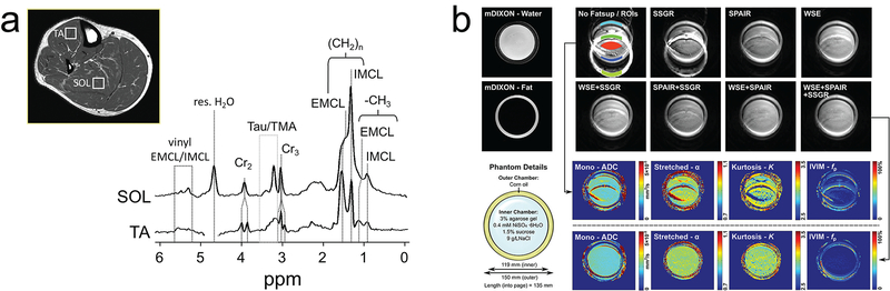 Figure 11.