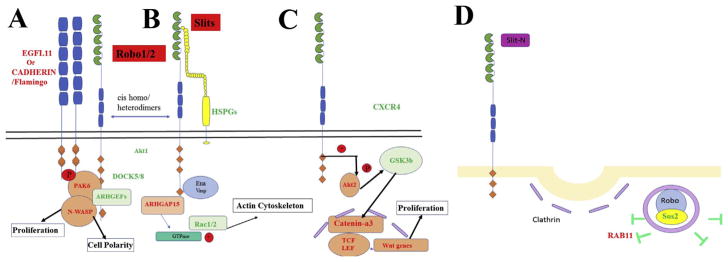 Fig. 10