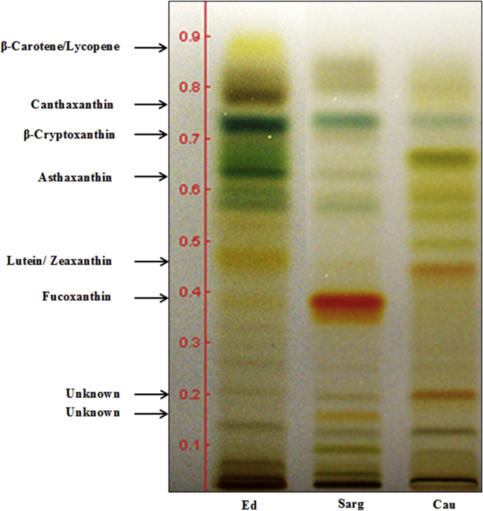 Figure 1